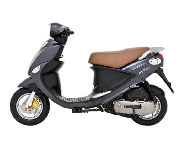 Beeline Papillon