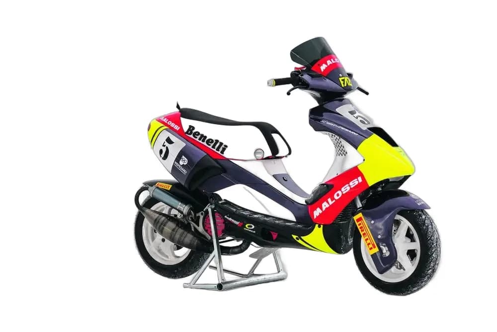 Benelli 491