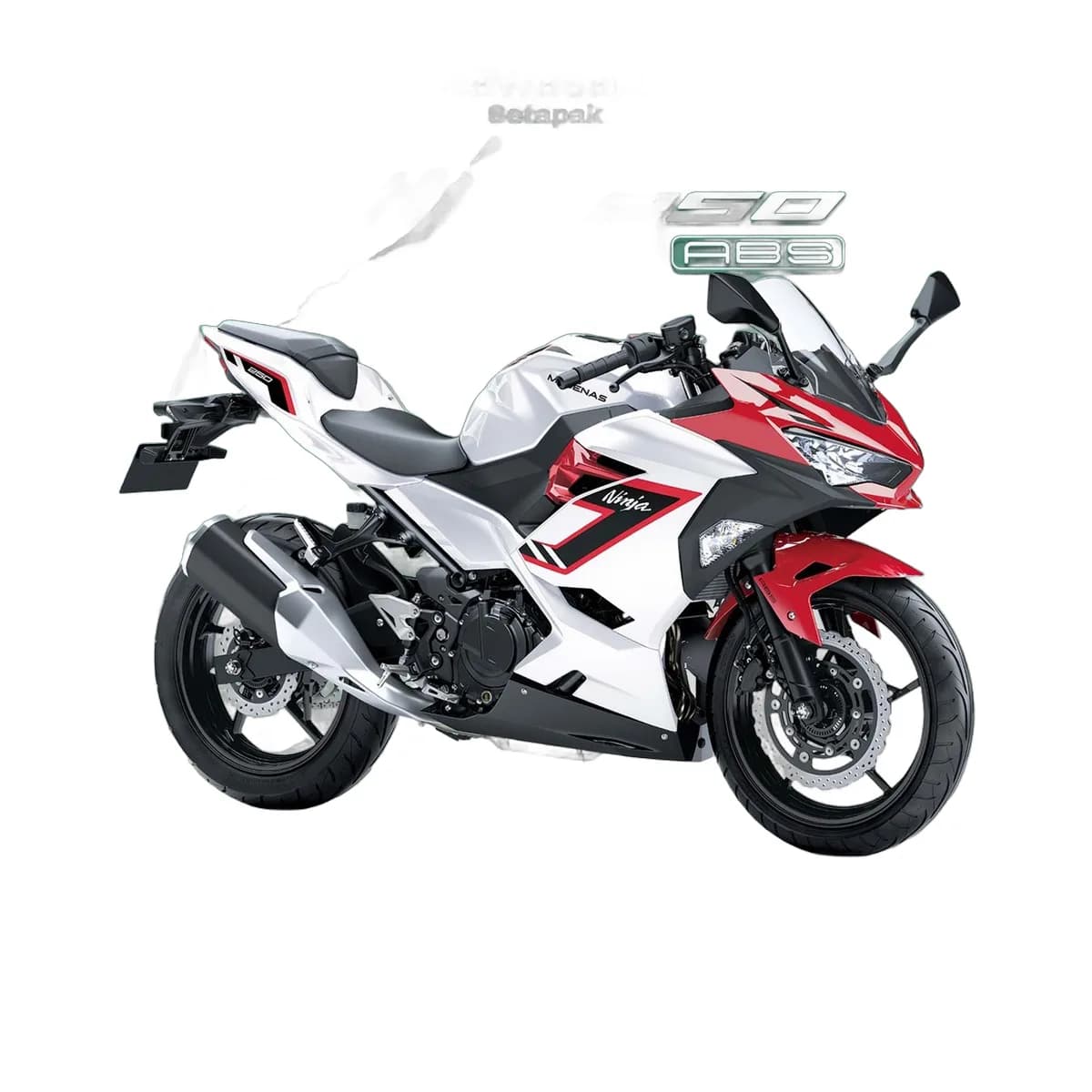 Kawasaki Ninja 250 / ABS