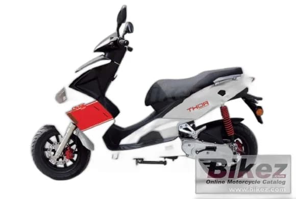 Pelpi Thor 50